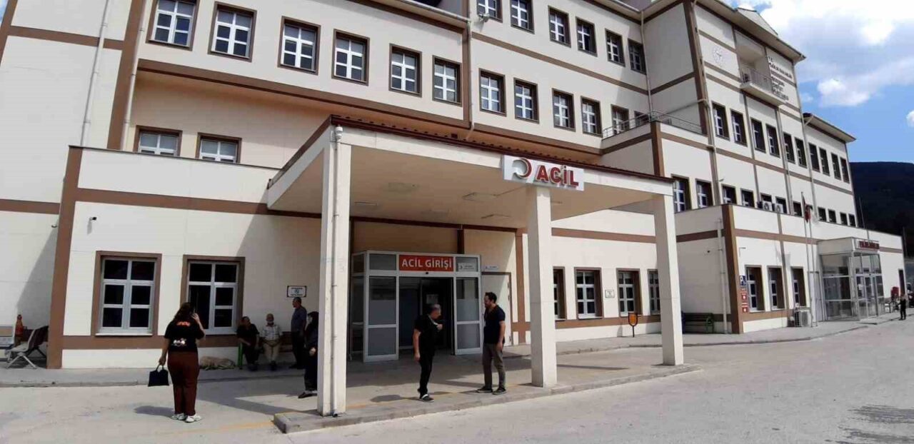 Bolu’nun Taşkesti beldesinde bir vatandaşın ayı saldırısı sonucu yaralanması üzerine