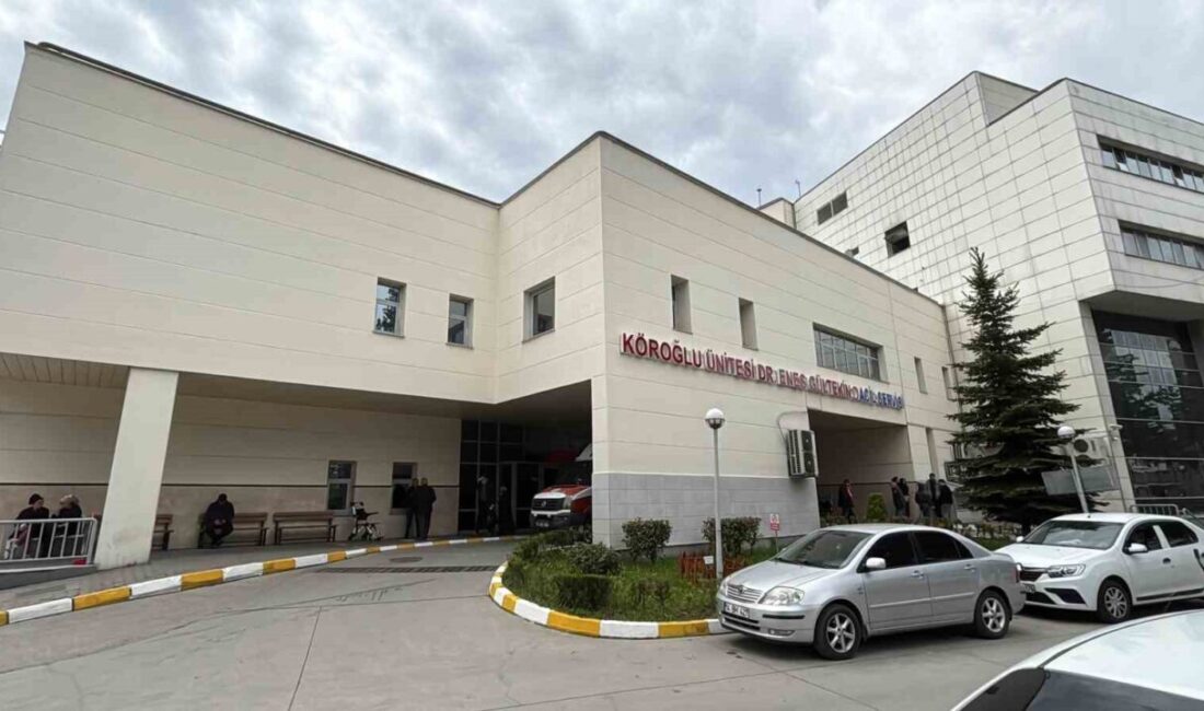 Bolu’nun Mengen ilçesinde arıcılık yapan bir vatandaş, gece saatlerinde ayı