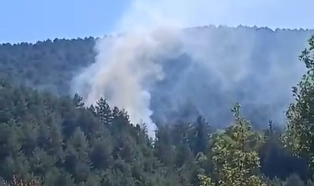 Bolu’nun Küplüce köyü mevkiinde orman yangını çıktı. Çevredeki vatandaşların ihbarı