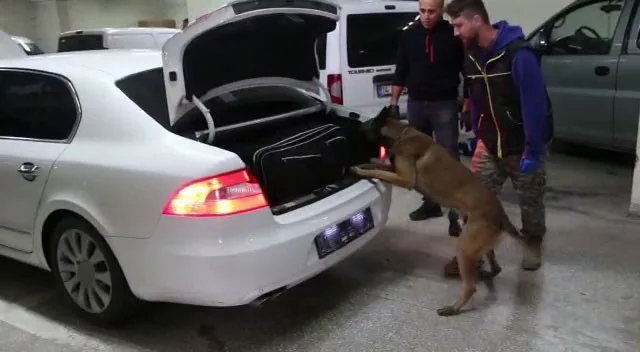 Bolu’da son 1 haftada gerçekleştirilen 6 kaçakçılık operasyonunda yakalanan 6
