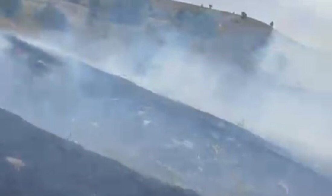 Bolu’nun Göynük ilçesine bağlı Arıkçayırı bölgesinde çıkan yangın, ekiplerin hızlı