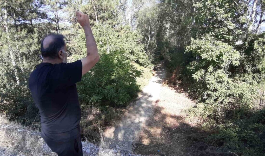 Bolu’nun Mudurnu ilçesinden geçen Uluçay Deresi kuraklık nedeniyle tamamen kurudu.