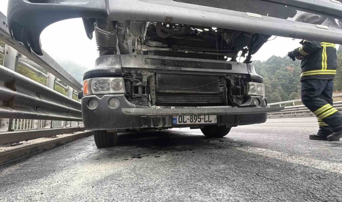 TEM Otoyolu’nun Bolu Dağı Tüneli mevkiinde mobilya yüklü kamyonun motor