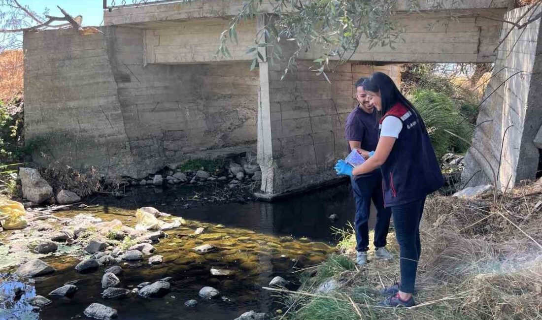 Türkiye’nin önemli patates üretim merkezlerinden biri olan Bolu’da, yemeklik patateslerde