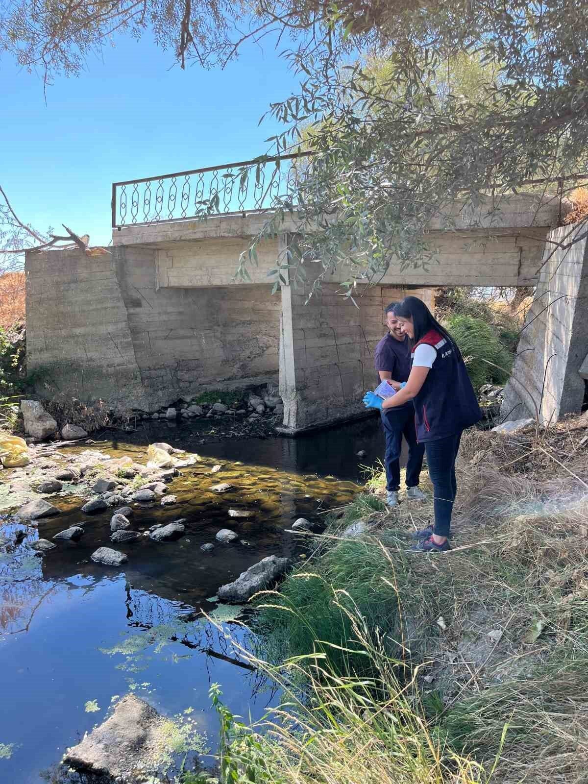 Türkiye’nin önemli patates üretim merkezlerinden biri olan Bolu’da, yemeklik patateslerde