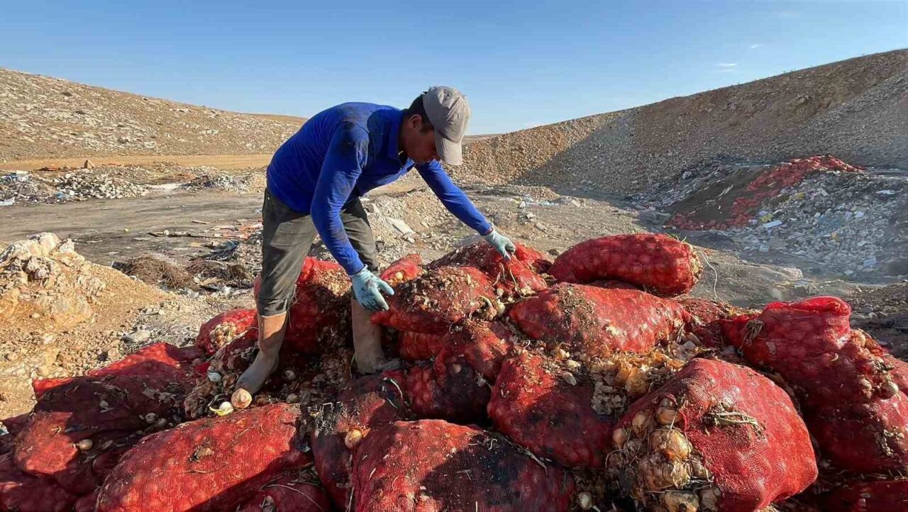 Karaman’da çuvallar dolusu tonlarca kuru soğan boş araziye dökülmüş halde