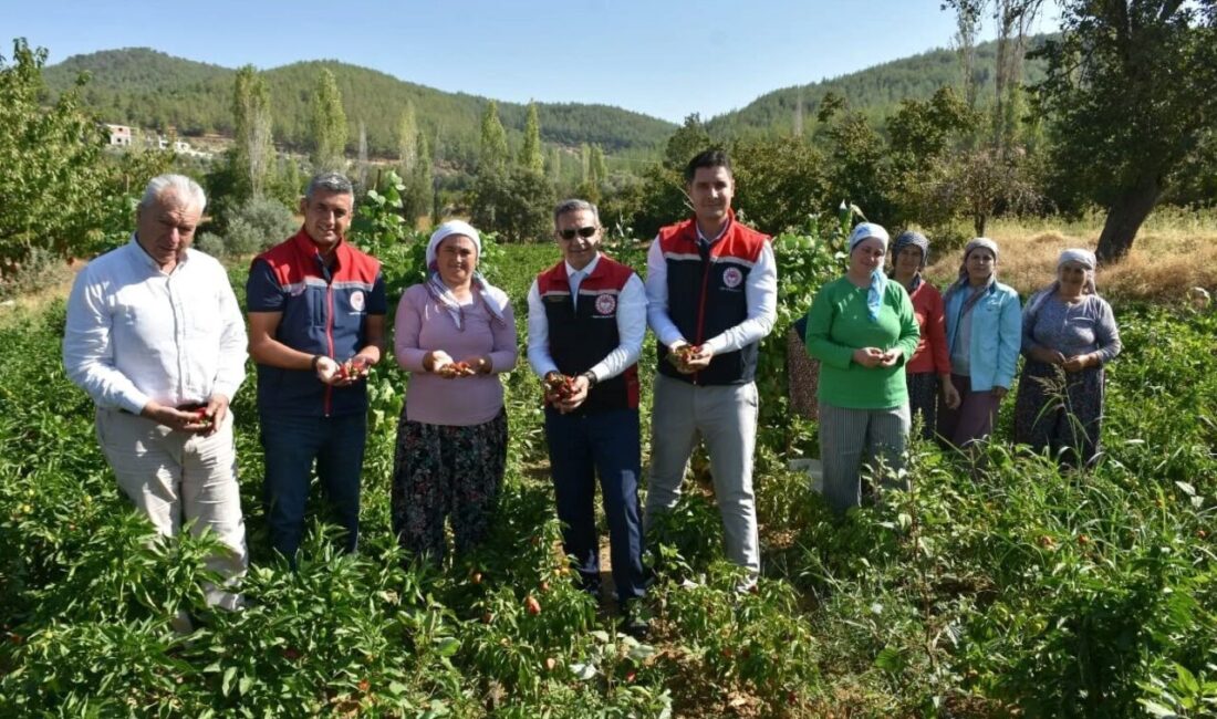 Tarım Arazilerinin Kullanımının Etkinleştirilmesi (TAKE) Projesi ile Aydın’da üreticilere sağlanan