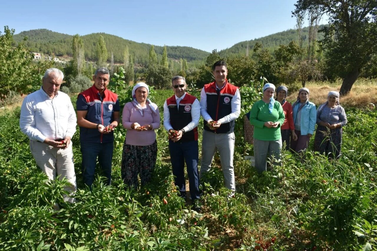 Tarım Arazilerinin Kullanımının Etkinleştirilmesi (TAKE) Projesi ile Aydın’da üreticilere sağlanan