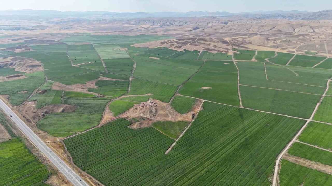 Sofraların vazgeçilmezi olan patatesler, ilkbahar aylarında toprakla buluştu. Bozkır olarak