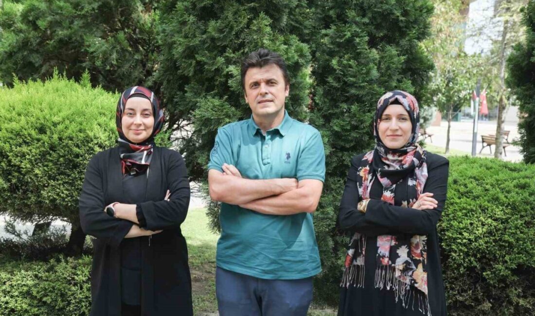 Bursa Teknik Üniversitesi (BTÜ) matematik eğitiminde dijital dönüşümü hedefleyen bir