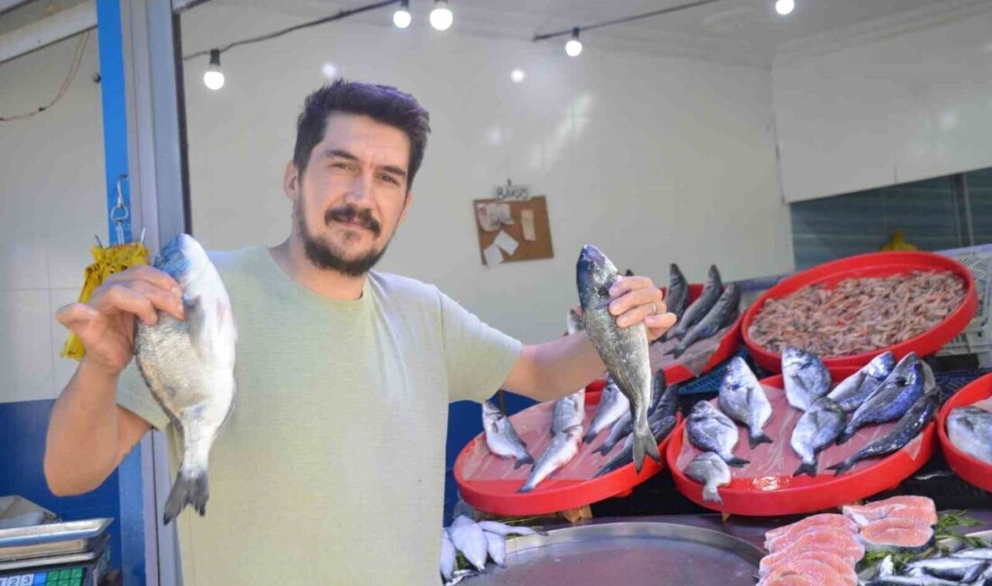 Bilecik’te 1 Eylül’de başlayan sezonla balıkçıların yüzü gülerken, bu yıl