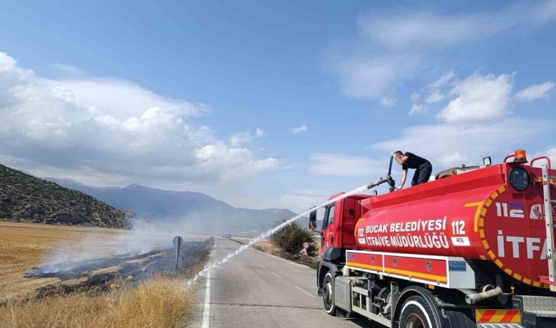 Burdur’un Bucak ilçesinde çıkan arazi yangını ekipler tarafından büyümeden söndürüldü.