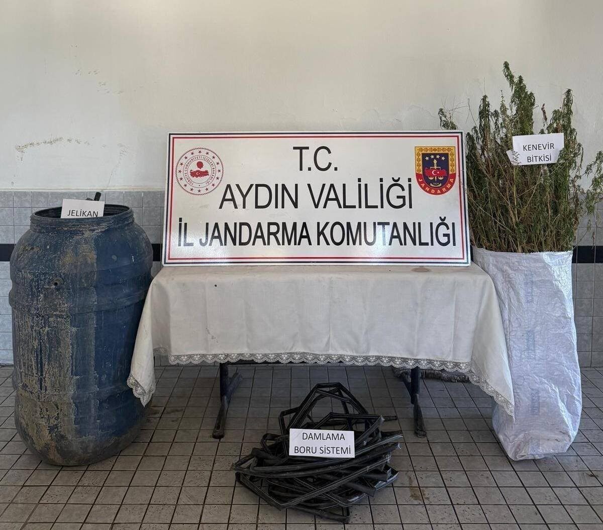 Aydın’ın Buharkent ilçesinde ormanlık alan içerisinde 40 kök kenevir ele