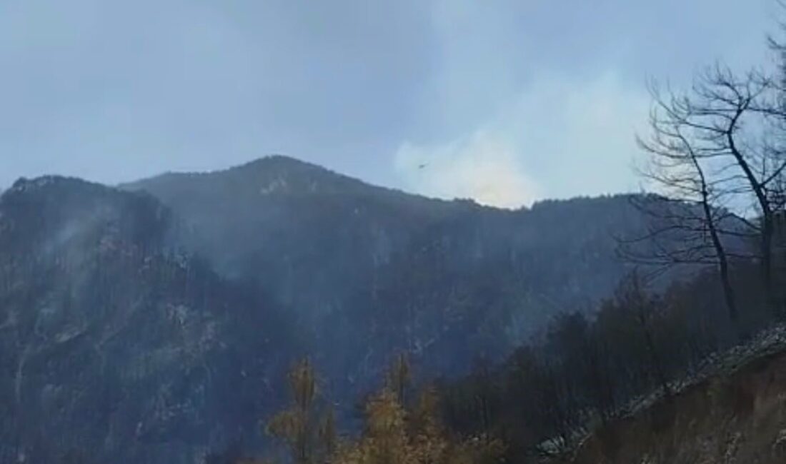 Denizli’nin Buldan ilçesinde 27 Ağustos tarihinde başlayan yangın, arazinin sarp,