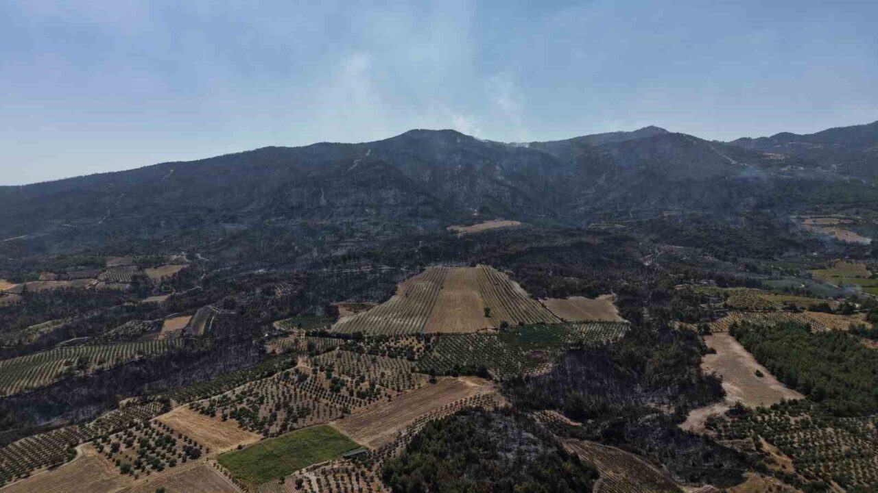 DENİZLİ (İHA) – Denizli’deki yangının 5’inci gününde soğutma çalışmaları yapılan