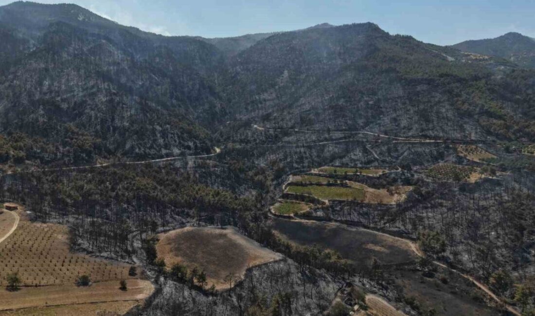 DENİZLİ (İHA) – Denizli’nin Buldan ilçesinde altıncı gününe giren orman