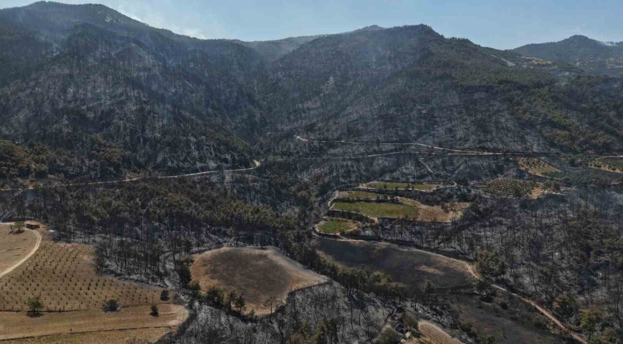 DENİZLİ (İHA) – Denizli’nin Buldan ilçesinde altıncı gününe giren orman