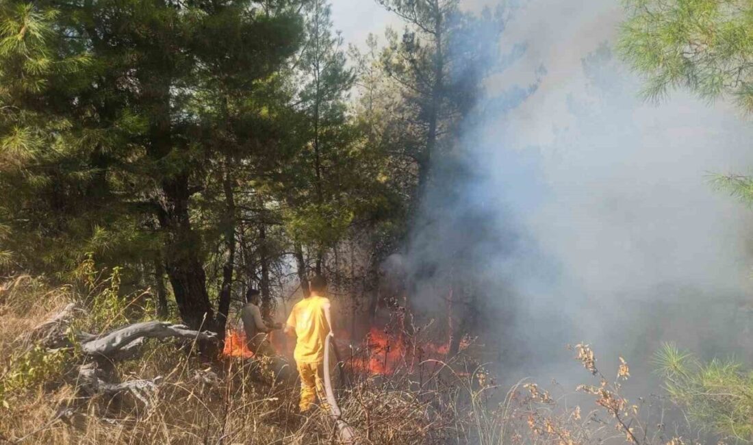 Denizli’nin Buldan ilçesinde ormanlık alana sıçrayan orman yangının kontrol altına