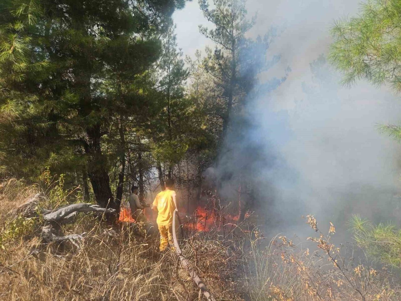 Denizli’nin Buldan ilçesinde ormanlık alana sıçrayan orman yangının kontrol altına