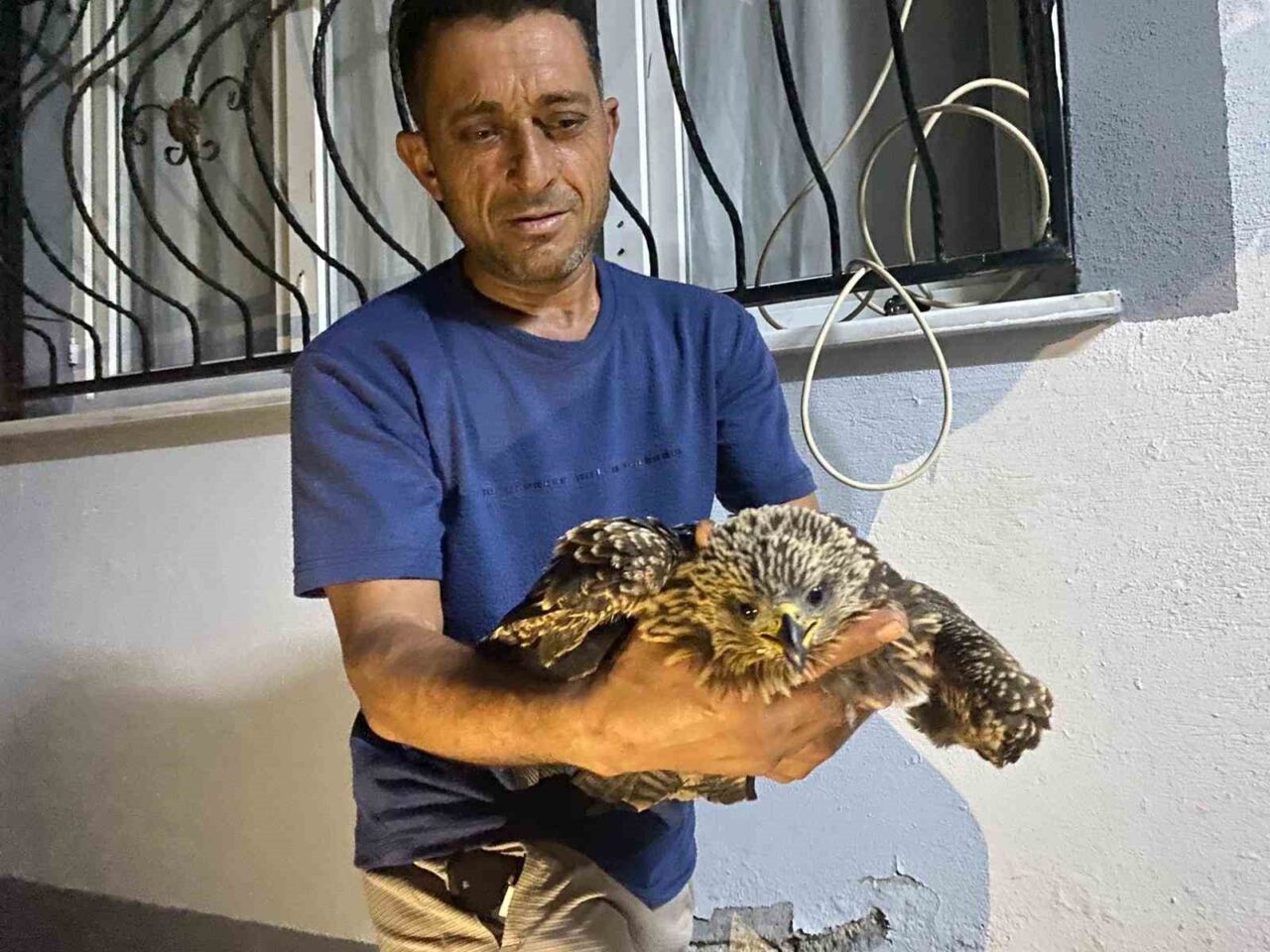 Osmaniye’nin Düziçi ilçesinde incir toplarken kanalın içinde bitkin halde bulduğu