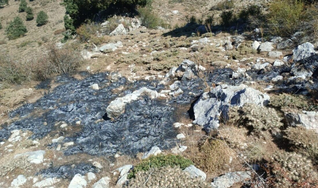 Burdur’un Altınyayla ilçesinde dağda çalılık alanda çıkan yangın ekiplerce söndürüldü.