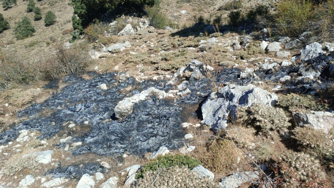 Burdur’un Altınyayla ilçesinde dağda çalılık alanda çıkan yangın ekiplerce söndürüldü.