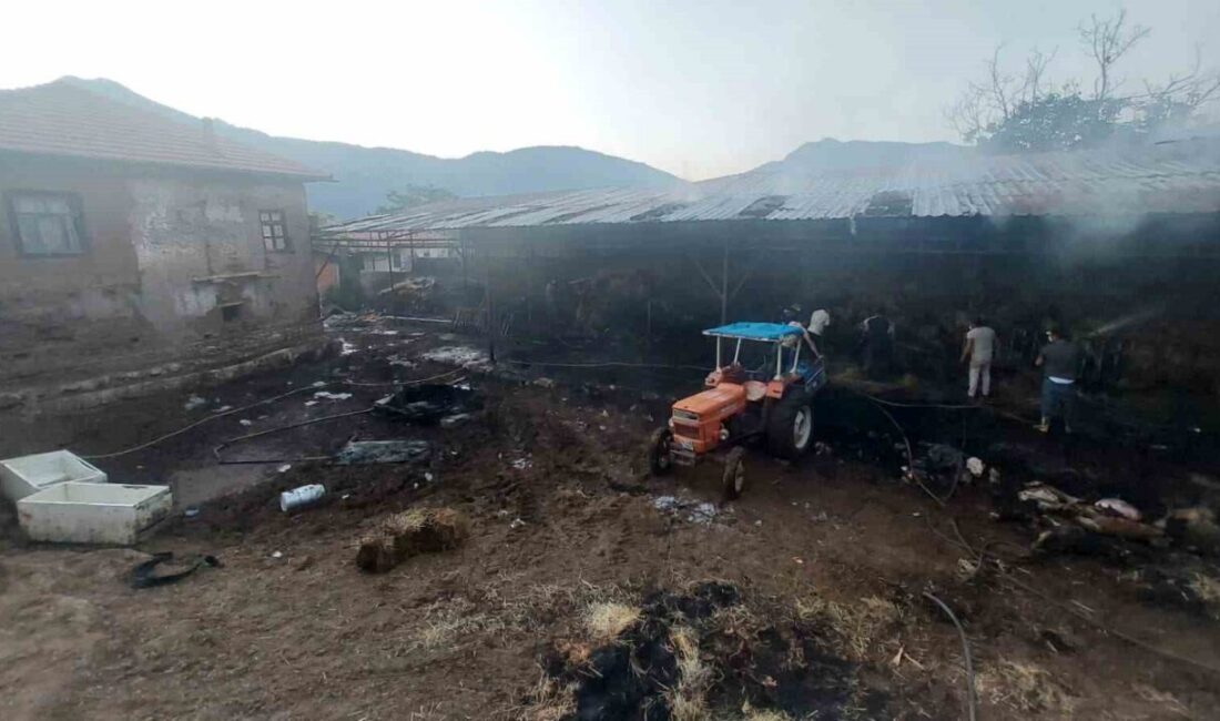 Burdur’un Yeşilova ilçesine bağlı Armut’lu köyünde çıkan yangında saman balyaları