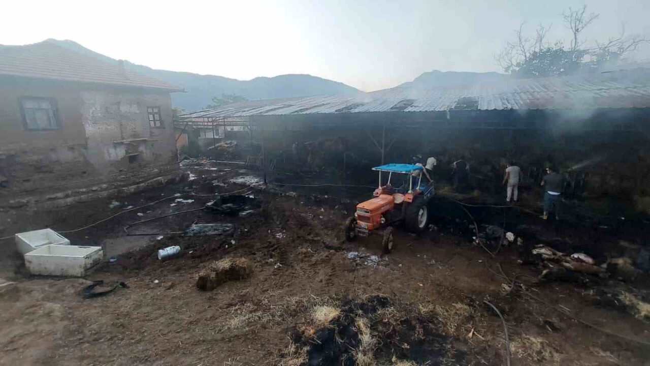 Burdur’un Yeşilova ilçesine bağlı Armut’lu köyünde çıkan yangında saman balyaları