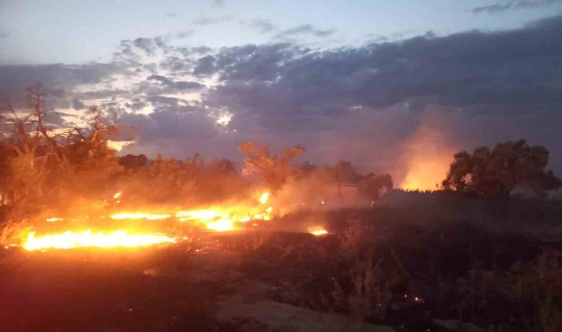 Burdur’da otluk alanda çıkan yangın itfaiye ekipleri tarafından büyümeden söndürüldü.