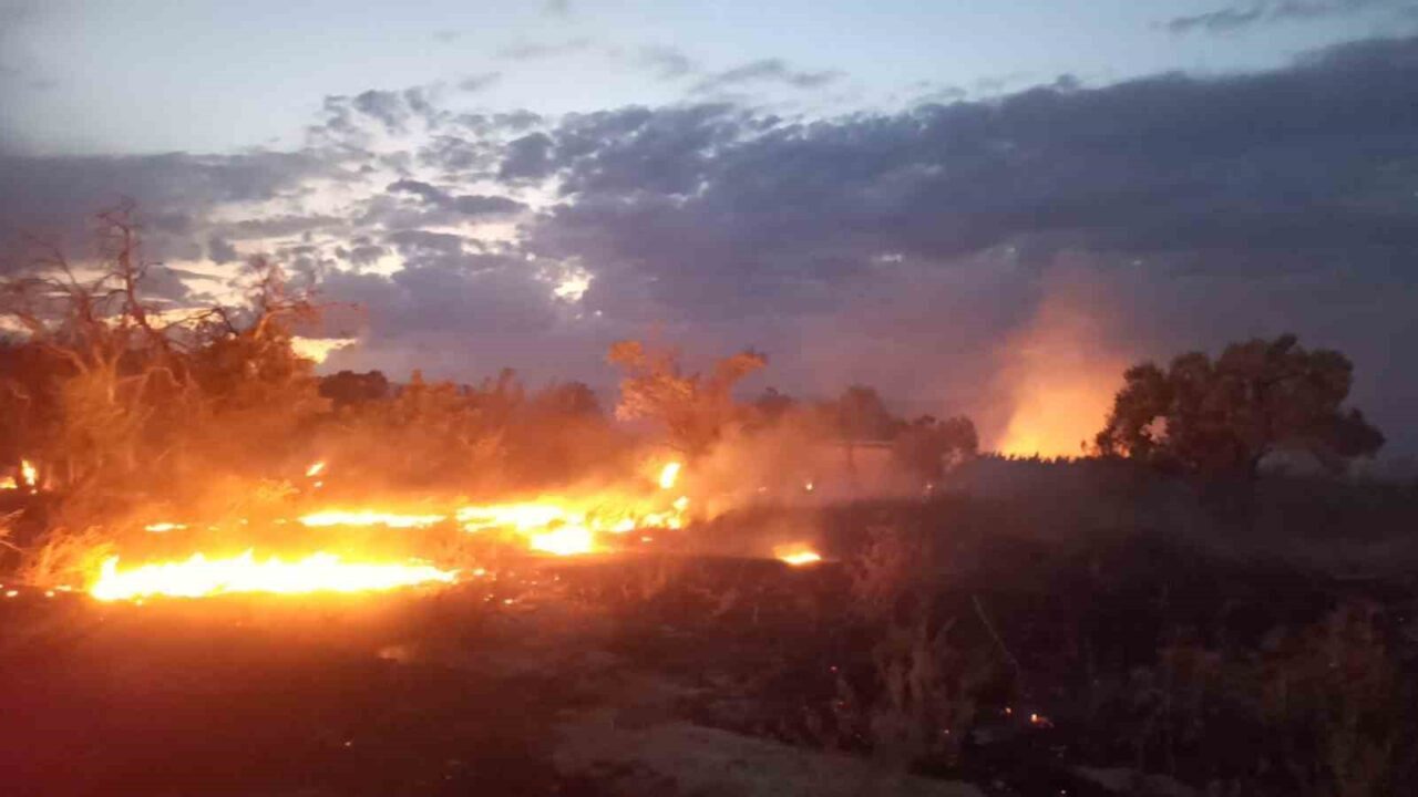 Burdur’da otluk alanda çıkan yangın itfaiye ekipleri tarafından büyümeden söndürüldü.