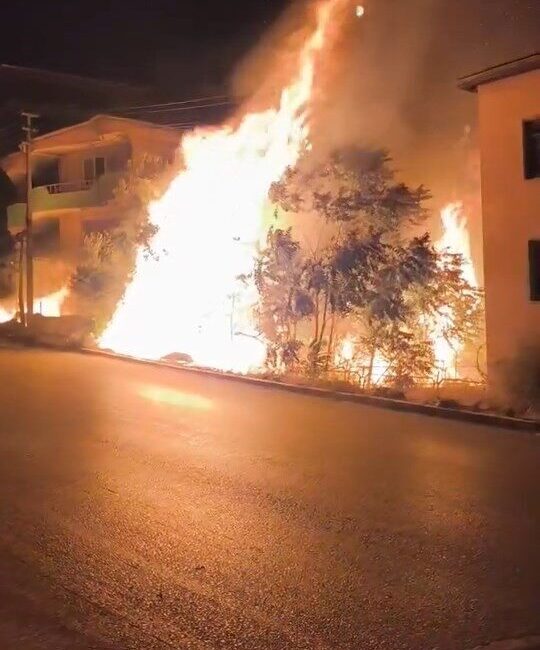 Bursa’nın Gemlik ilçesinde villaların arasında bulunan ağaçlık alandaki alevler, vatandaşlara