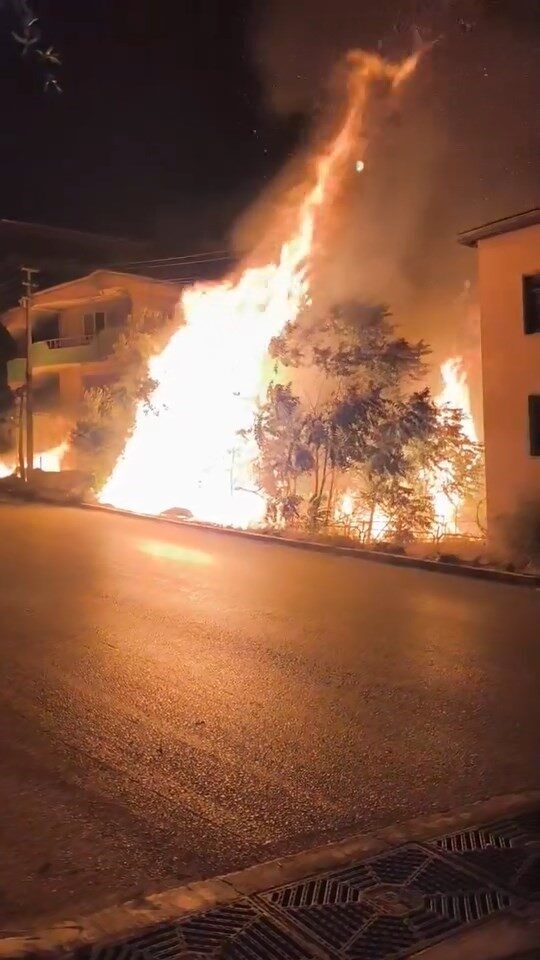 Bursa’nın Gemlik ilçesinde villaların arasında bulunan ağaçlık alandaki alevler, vatandaşlara