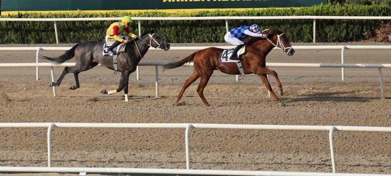 Türkiye Jokey Kulübü (TJK) tarafından Bursa Büyükşehir Belediye Başkanlığı adına