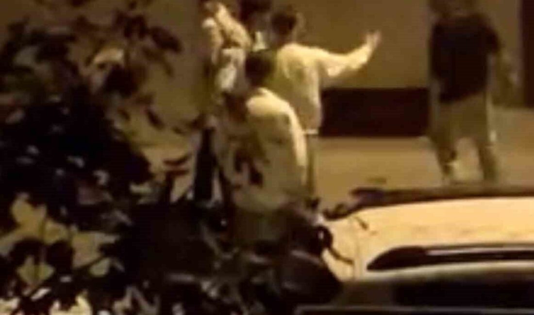 Bursa’nın Yıldırım ilçesinde sokak ortasında yaşanan kavga mahalleliyi ayağa kaldırdı.