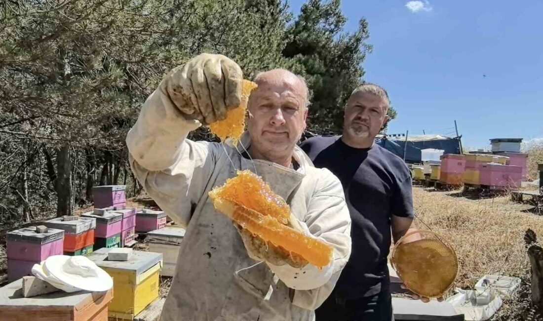 Bursa’nın İnegöl ilçesinde 50 yıldan bu yana kara kovan bal