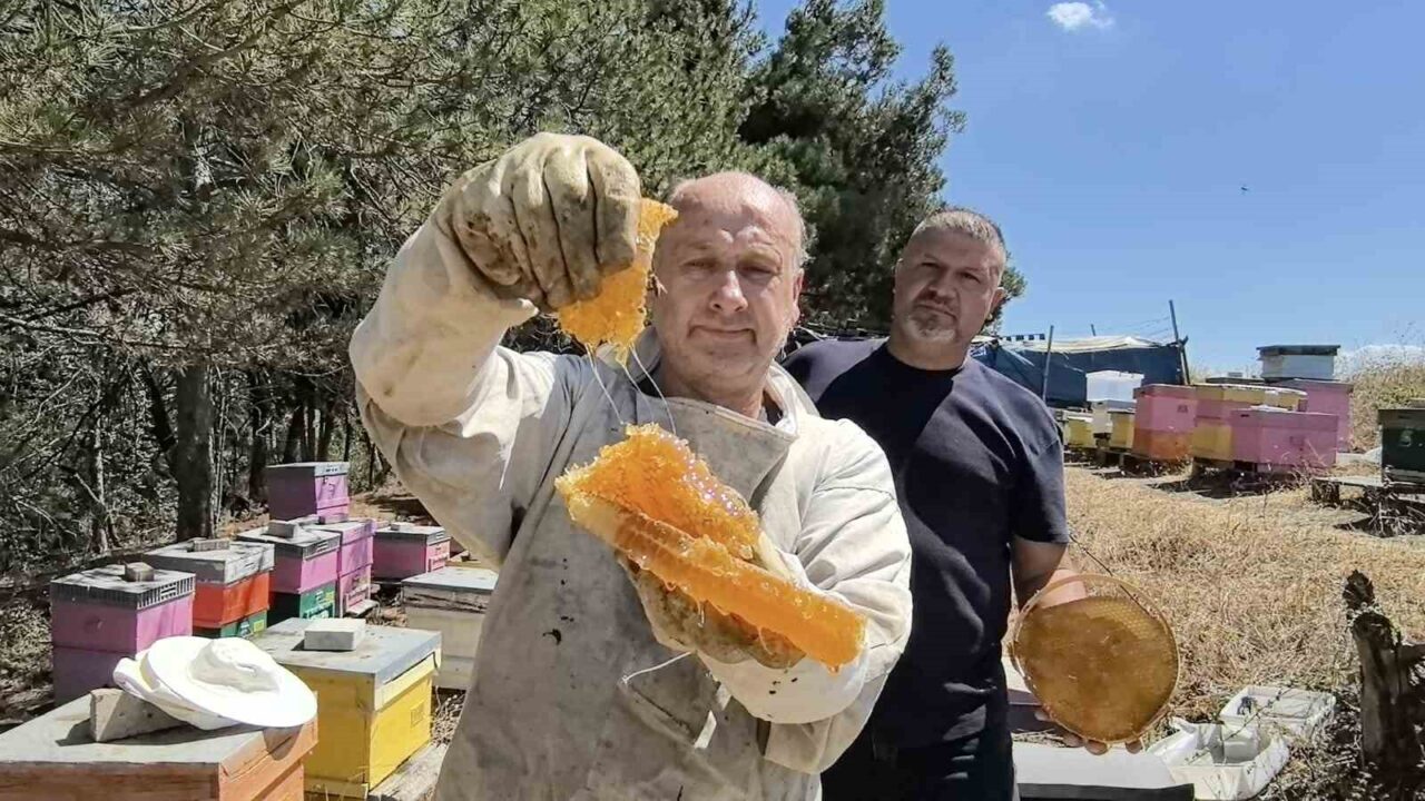 Bursa’nın İnegöl ilçesinde 50 yıldan bu yana kara kovan bal