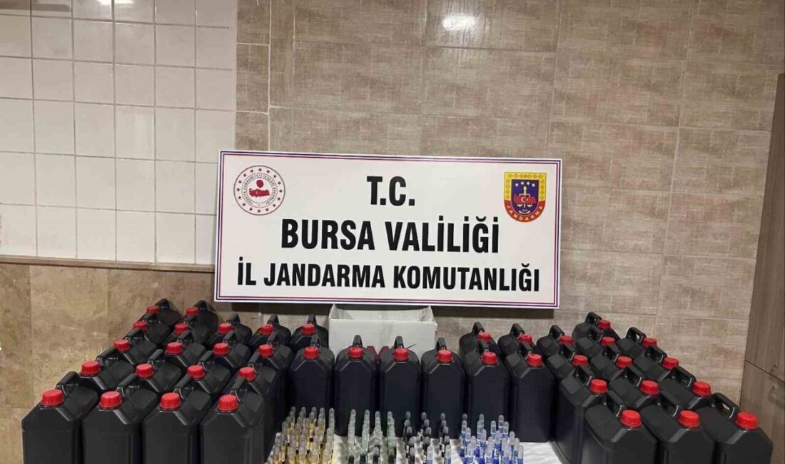 Bursa’nın Mudanya ilçesinde jandarma ekiplerince gerçekleştirilen yol emniyet kontrolünde durdurulan