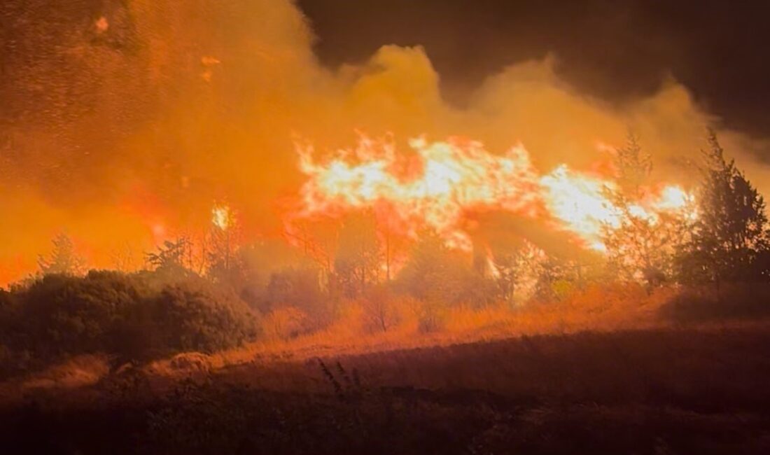 Bursa’nın Karacabey ilçesinde çıkan orman yangını şiddetli rüzgarın etkisiyle kısa