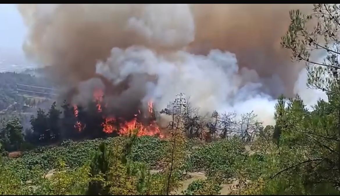 Bursa’nın merkez Osmangazi ilçesi Gündoğdu ilçesinde başlayan orman yangını büyüyor.