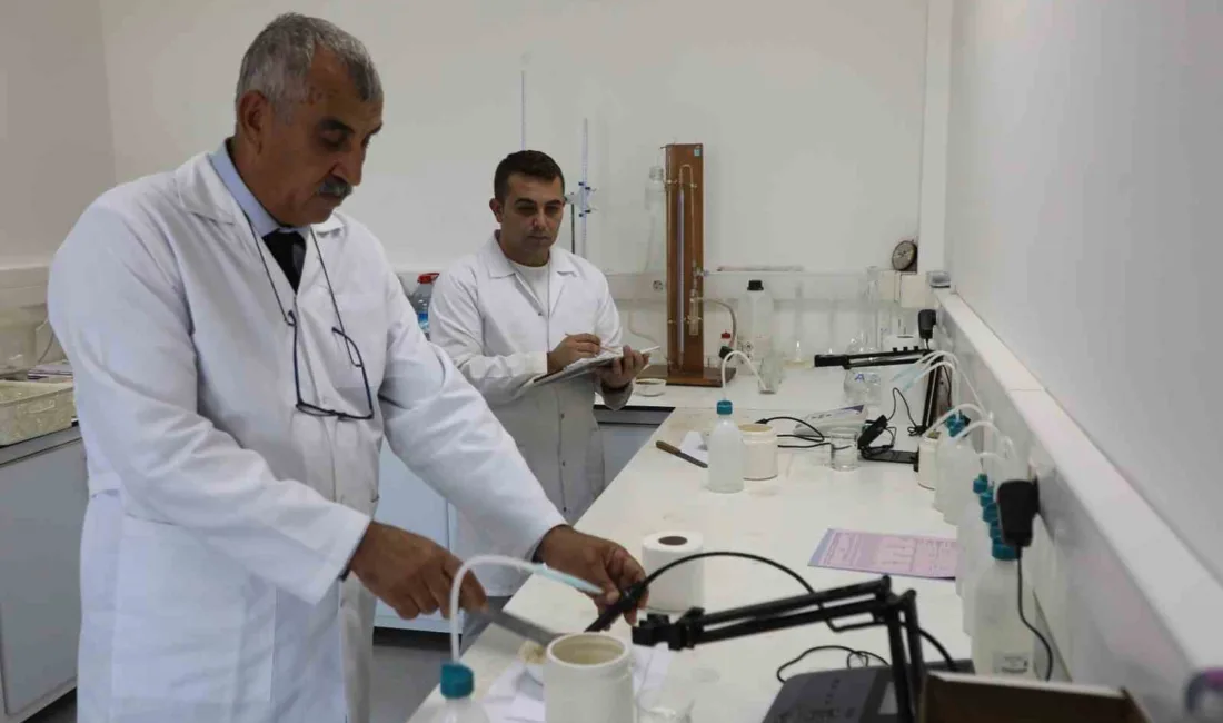 Muğla Büyükşehir Belediyesi ile Muğla Sıtkı Koçman Üniversitesi iş birliğiyle