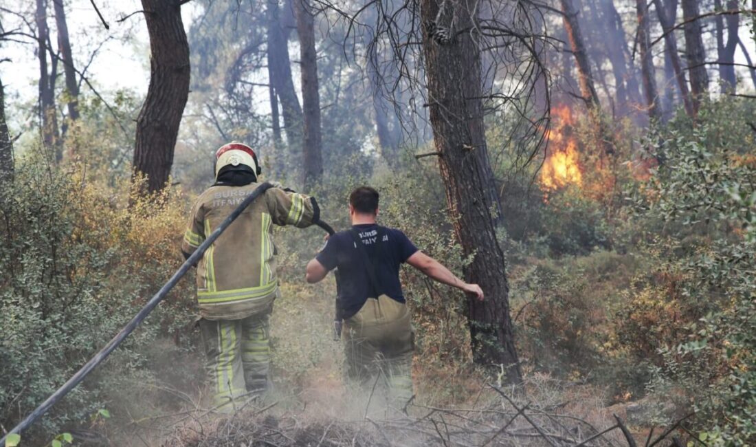 Bursa Büyükşehir Belediyesi ekipleri, Bursa’da televizyon vericilerinin bulunduğu Gündoğdu Mahallesi’nde