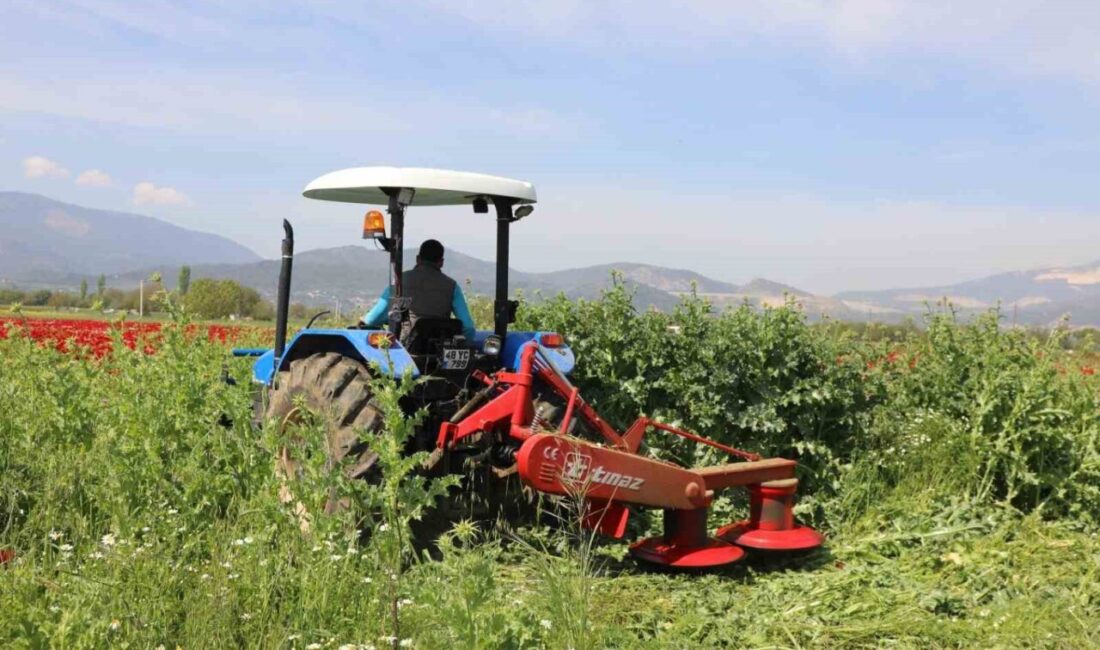 Muğla Büyükşehir Belediyesi, kırsal kalkınmayı desteklemek ve üreticilerin en büyük