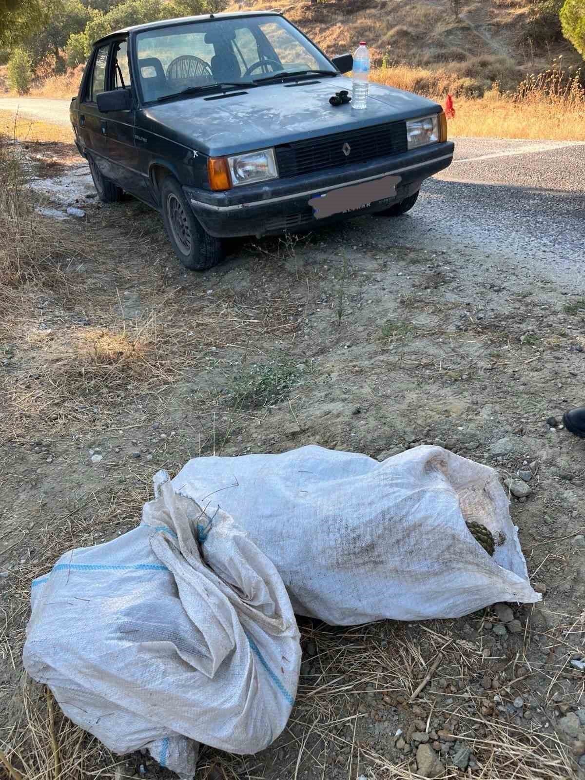 Manisa’nın Gördes ilçesinde 95 kilogram çam fıstığı çalan iki hırsız