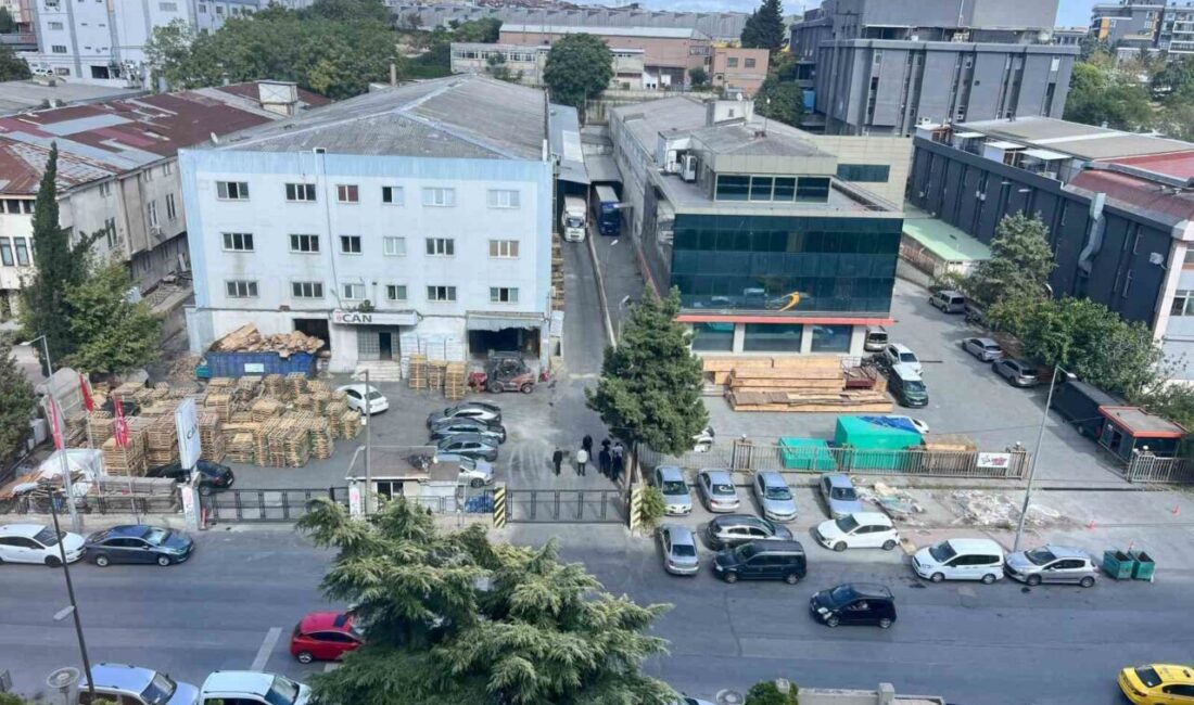 Can Holding bünyesindeki şirketler üzerinde çeşitli suçların işlendiği, Kemal Can