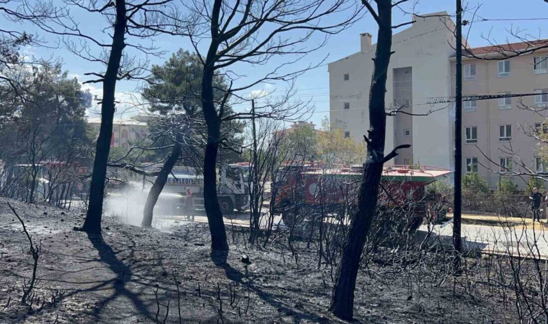 Çanakkale’nin Merkez ilçesine bağlı Çınarlı köyünde çıkan orman yangını, Orman