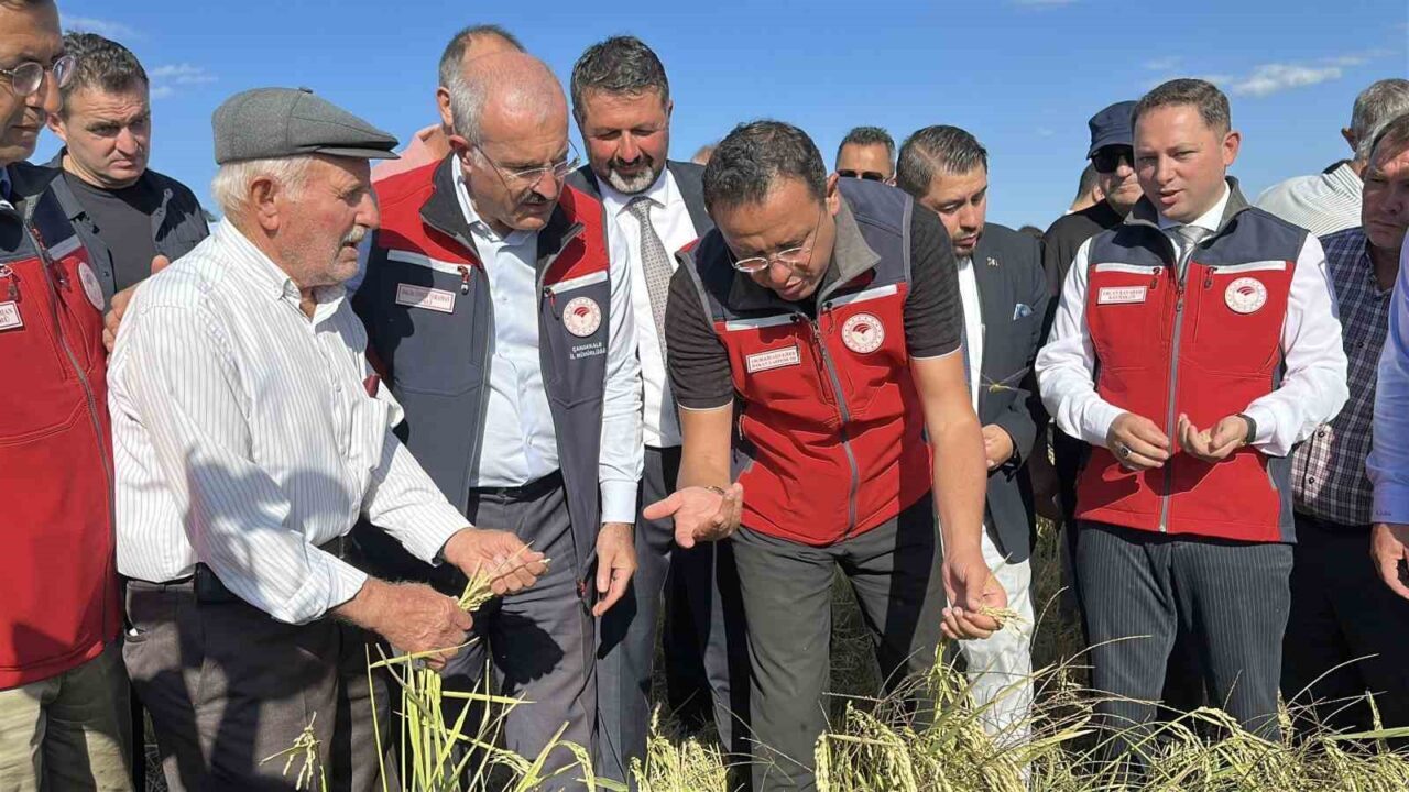 Çanakkale’nin Biga ilçesinde ‘Damla Sulama Yöntemi ile Çeltik Üretiminin Geliştirilmesi