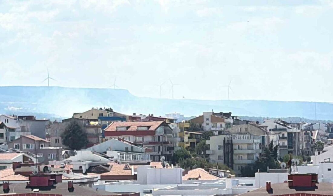 Çanakkale’nin Merkez ilçesine bağlı Çınarlı köyünde çıkan orman yangınına Orman