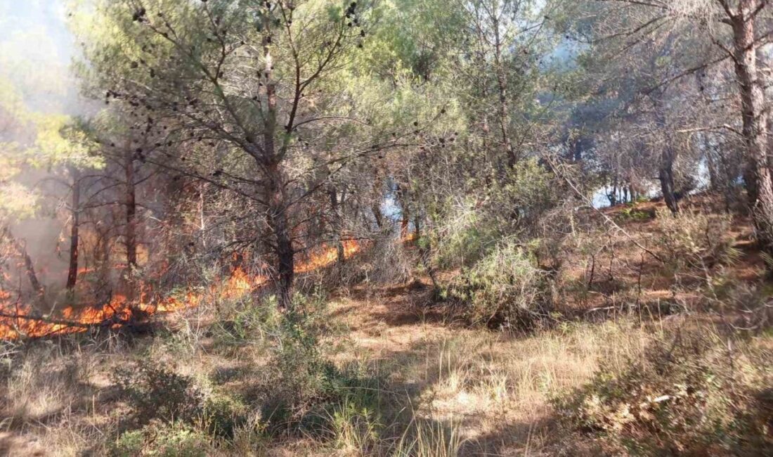 Çanakkale’de ormanlık alanda çıkan yangın, Orman Bölge Müdürlüğü ekiplerinin havadan
