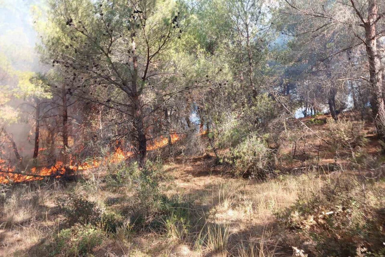 Çanakkale’de ormanlık alanda çıkan yangın, Orman Bölge Müdürlüğü ekiplerinin havadan