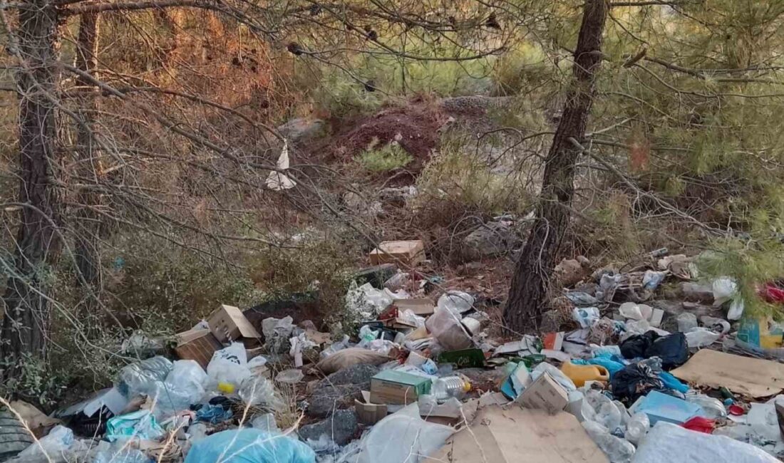 Çanakkale’de ormanlık alanlar, kimliği belirsiz kişilerin attığı moloz yığınları ve